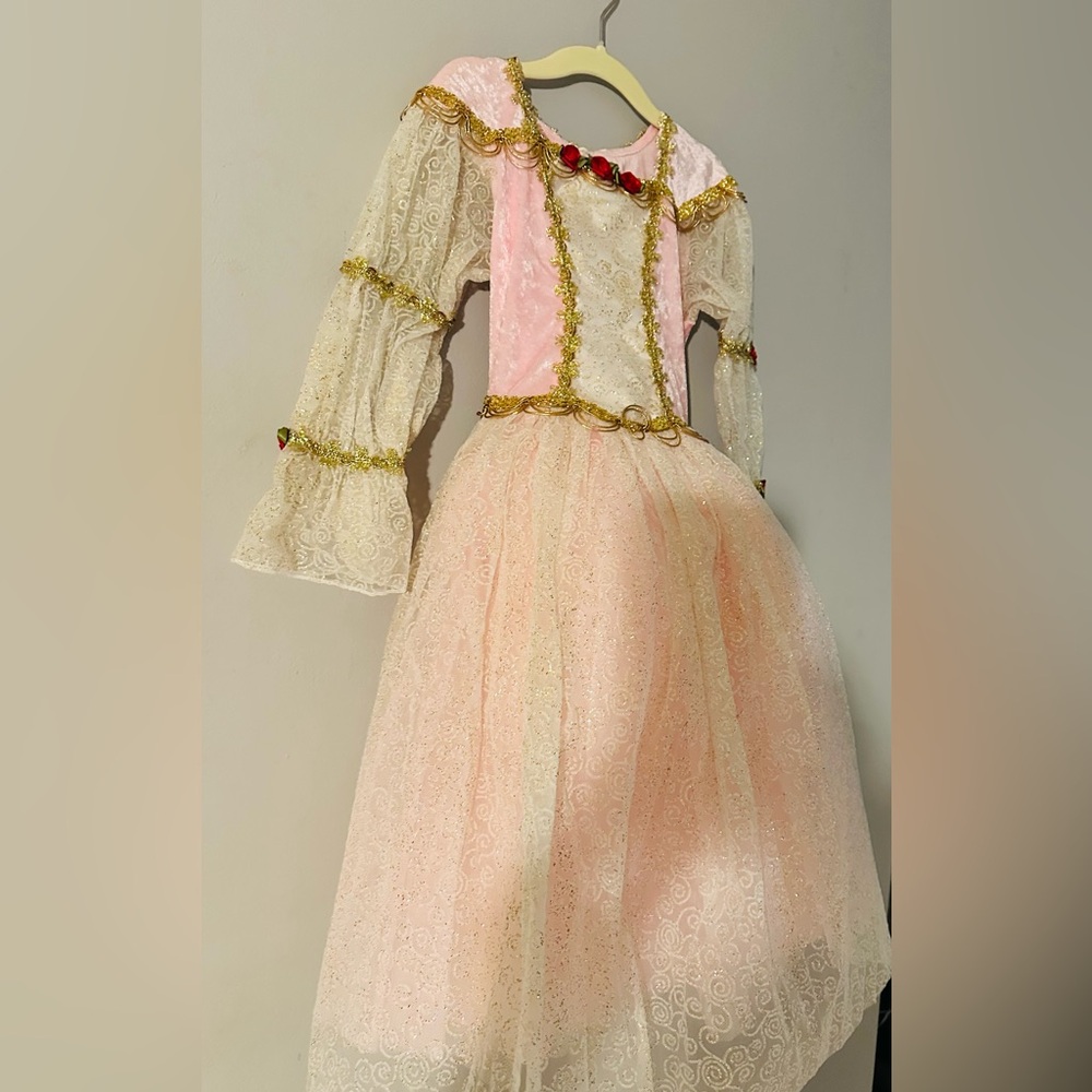 Girls Pink Princess Costume Dress with Gold Trim, Red Floral - Picture 7 of 9